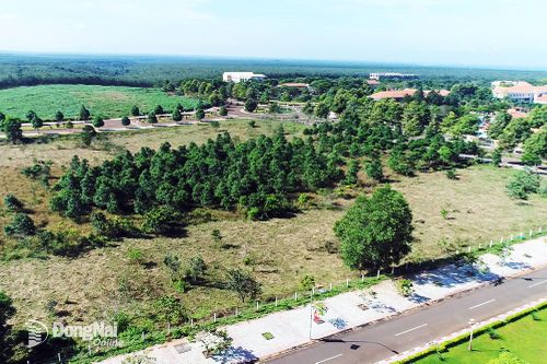 Huyện Nhơn Trạch chuyển hơn 1,28 ngàn ha đất nông nghiệp sang phi nông nghiệp