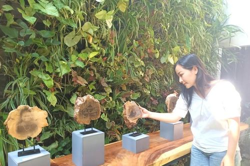 Nét đẹp Buôn Ma Thuột xưa được in độc bản trên gỗ cà phê 30 năm tuổi