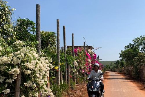 Sắc xuân ở làng nông thôn mới Mrăh