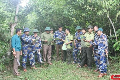 Bảo vệ rừng, phát triển lâm nghiệp bền vững
