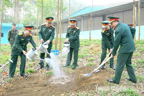 Trồng trên 1.000 cây lấy gỗ tại lễ phát động Tết trồng cây 'Đời đời nhớ ơn Bác Hồ'