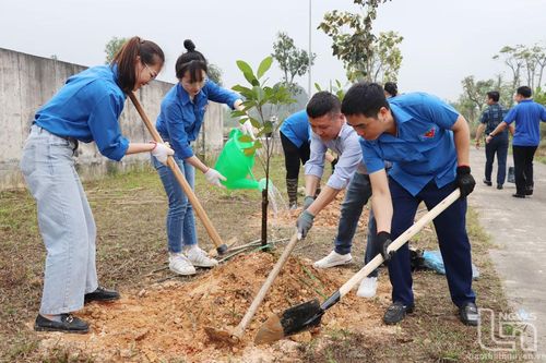 Trồng hơn 6.000 cây xanh tại các khu công nghiệp