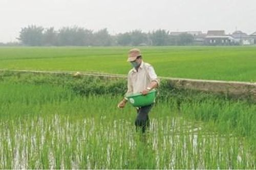 Phòng trừ hiệu quả sâu bệnh trên cây trồng