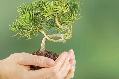10 điều tâm niệm