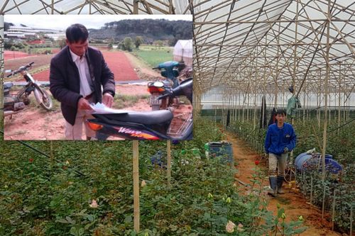 Lâm Đồng: Nhiều doanh nghiệp sai phạm trong triển khai dự án tại khu Nông nghiệp công nghệ cao Ấp Lát