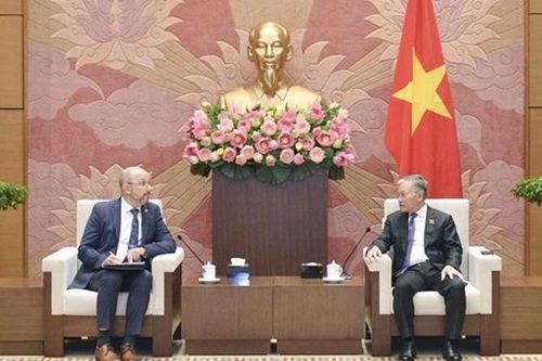 Phó Chủ nhiệm Ủy ban Đối ngoại Đôn Tuấn Phong tiếp Đại sứ Thụy Sĩ tại Việt Nam