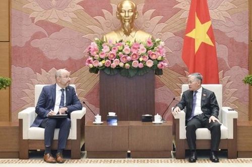 Phó Chủ nhiệm Ủy ban Đối ngoại Đôn Tuấn Phong tiếp Đại sứ Thụy Sĩ tại Việt Nam