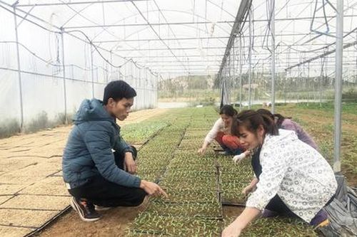 Người trẻ đua khởi nghiệp, đưa công nghệ cao vào sản xuất trên 'phố núi' Cao Bằng