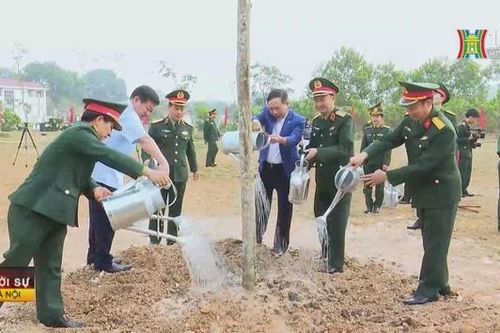 Bộ Tư lệnh Thủ đô tổ chức Tết trồng cây