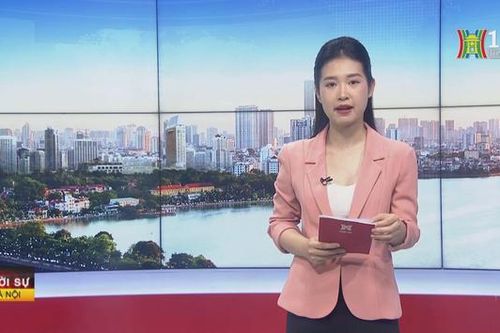 Chương trình Thời sự 9h00 | 20/02/2024
