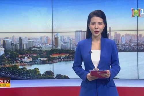Chương trình Thời sự 15h | 20/02/2024