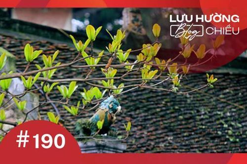 Đi về phía mùa Xuân