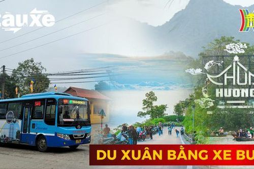 Những tuyến xe buýt du xuân ngoại thành Hà Nội| Bản tin Tàu và xe | 20/02/2024