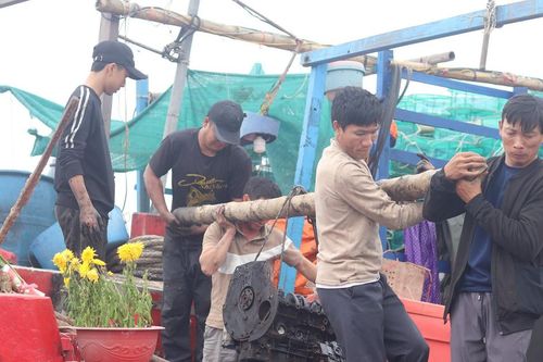 Tất bật chuẩn bị cho ngày vươn khơi