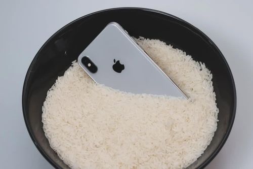 Đừng bỏ iPhone bị ướt vào thùng gạo