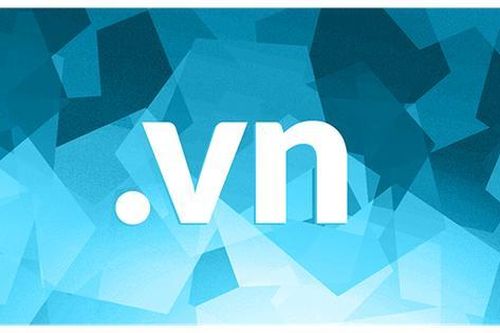 Đề xuất quy định về đấu giá quyền sử dụng tên miền quốc gia Việt Nam '.vn'