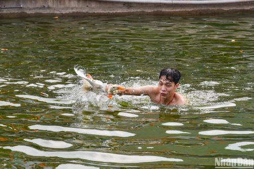 Độc đáo cuộc thi vây bắt vịt tại lễ hội xuân Lại Yên