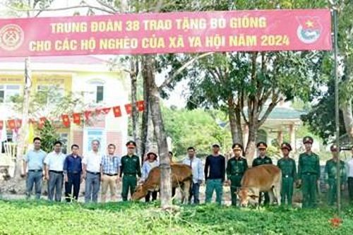 Trung đoàn 38: Trao bò giống tặng hộ đồng bào dân tộc thiểu số nghèo