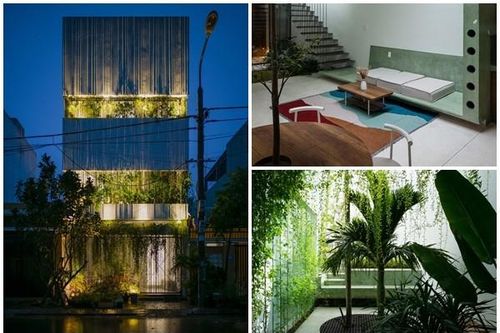 Xanh mướt từ ngoài vào trong, nhà Đà Nẵng khiến báo ngoại 'ngả mũ'