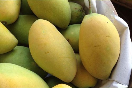 Hàn Quốc phát hiện xoài Việt Nam có chứa dư lượng thuốc bảo vệ thực phẩm vượt ngưỡng
