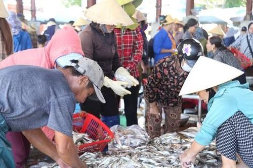 Tàu thuyền đầy ắp 'lộc biển', cảng cá nhộn nhịp mua bán