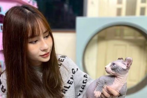 Cô gái 9x sở hữu trại mèo không lông giá tiền tỉ