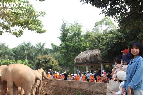 Nhiều điểm du lịch sinh thái, văn hóa tâm linh ở Nghệ An hút khách đầu Xuân