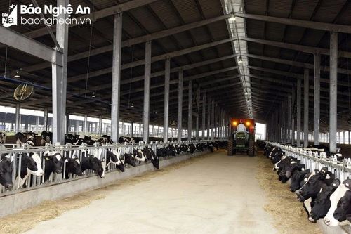 Nghệ An có 6 doanh nghiệp nông nghiệp ứng dụng công nghệ cao