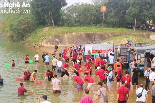 Chùa Viên Quang phóng sinh hơn 12 tấn cá xuống sông Lam