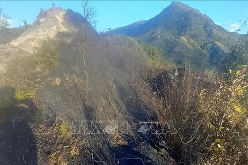 Vụ cháy tại Vườn Quốc gia Hoàng Liên: Xử lý dứt điểm, không để lửa tái bùng phát