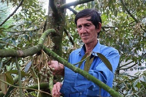 Lão nông kiếm tiền tỷ nhờ nuôi con đặc sản, trồng loại quả thơm phức