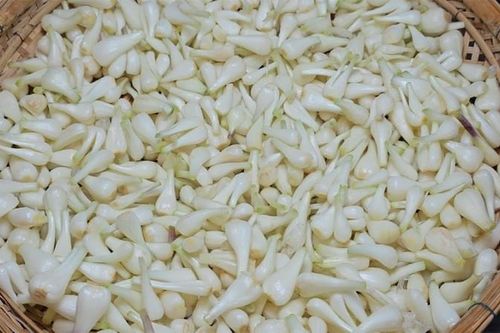 Củ kiệu - món ăn đơn giản nhưng rất có lợi cho sức khỏe