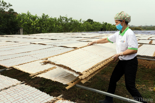 Mỳ Chũ Lục Ngạn 'gõ cửa' thị trường khó tính