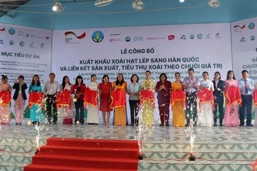 An Giang xuất khẩu 13 tấn xoài hạt lép sang thị trường Hàn Quốc