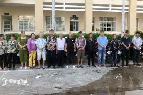Tạm giữ 12 đối tượng tham gia đánh bạc trong vườn dừa