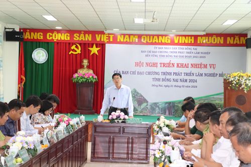 Đồng Nai tăng phòng, chống cháy rừng trong mùa khô