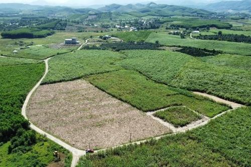 Năm 2024: Chuyển đổi hàng nghìn héc-ta đất nông nghiệp sang đất phi nông nghiệp