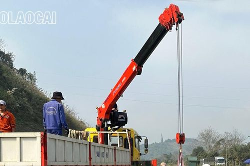 Đóng điểm đấu nối đường nhánh vào cao tốc Nội Bài – Lào Cai