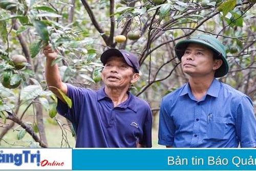 Kinh tế phát triển nhờ chuyển đổi cây trồng phù hợp