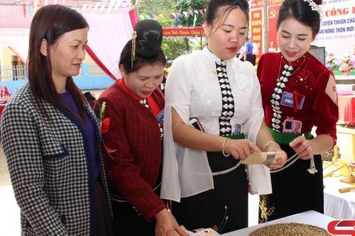 OCOP - quảng bá sản phẩm nông nghiệp huyện Thuận Châu