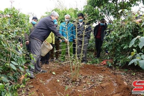 Để nông dân có mùa cà phê bội thu