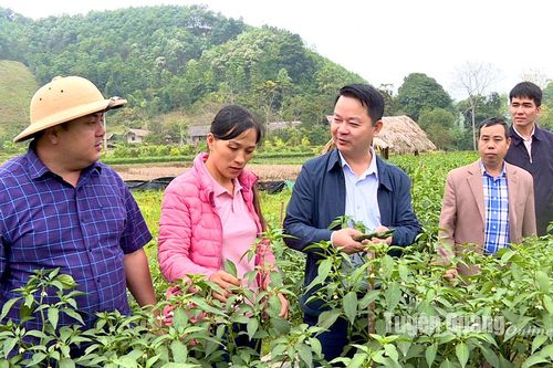 Giải quyết vướng mắc từ khi mới phát sinh