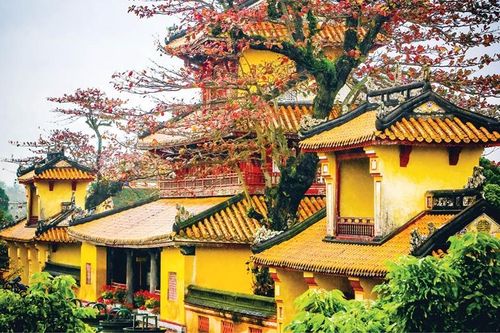 Ký ức rồng xanh