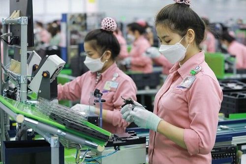 Nghiên cứu chính sách ưu đãi mới cho nhà đầu tư khi triển khai thuế toàn cầu