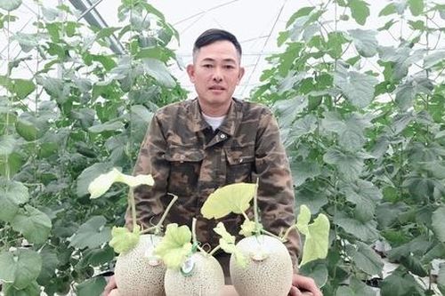 HTX vươn tầm nhờ không bỏ lỡ 'chuyến tàu công nghệ'