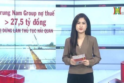 Trung Nam Group bị dừng thủ tục hải quan do nợ thuế
