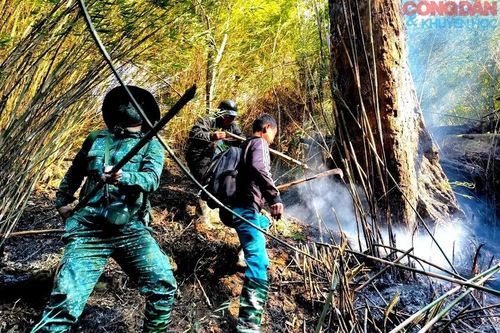 Cháy rừng ở Sa Pa: Điểm cháy cuối cùng treo ngang vách núi cao đã bị khống chế