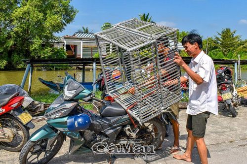 Vươn lên sau vấp ngã