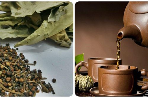 Uống nước vối có tác dụng gì?