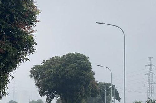 Sớm giải quyết những tồn tại về điện chiếu sáng công cộng ở phường Yên Nghĩa (quận Hà Đông)